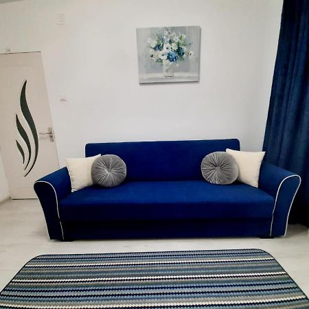 2 Rooms Apartment Telecabinei Буштени Экстерьер фото
