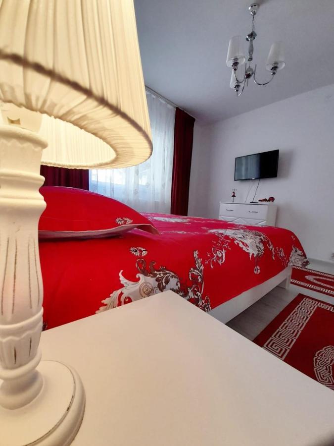 2 Rooms Apartment Telecabinei Буштени Экстерьер фото