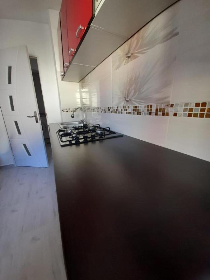 2 Rooms Apartment Telecabinei Буштени Экстерьер фото