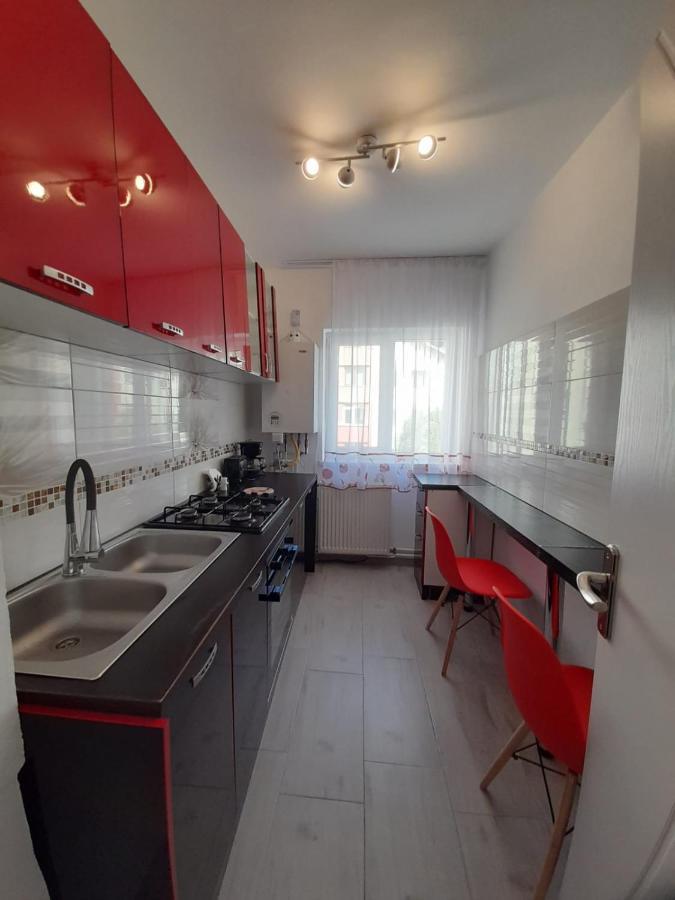 2 Rooms Apartment Telecabinei Буштени Экстерьер фото