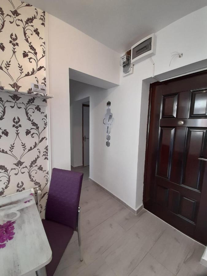 2 Rooms Apartment Telecabinei Буштени Экстерьер фото