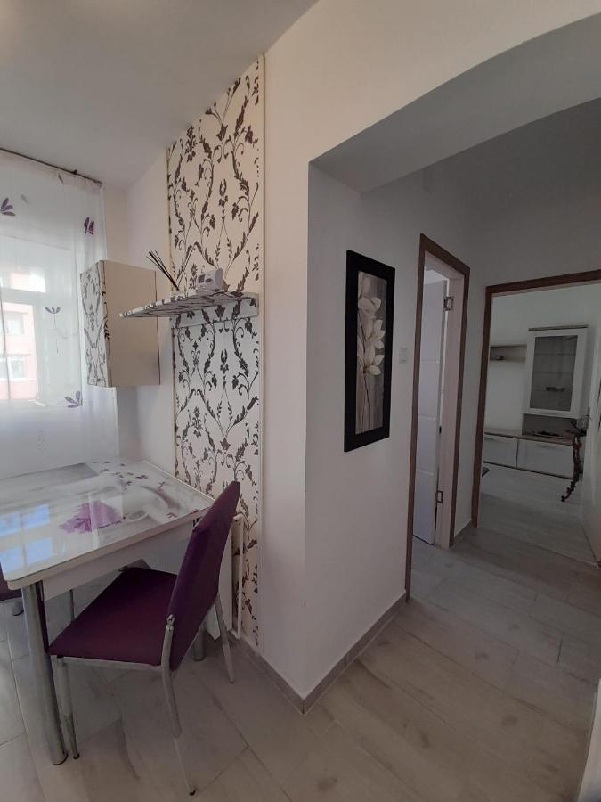 2 Rooms Apartment Telecabinei Буштени Экстерьер фото